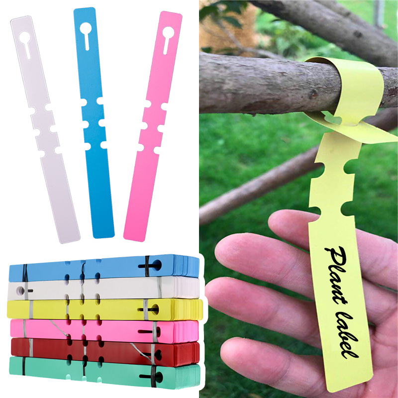 Gardening Tools Labeled - 50 قطعة علامات النباتات المقاومة للماء