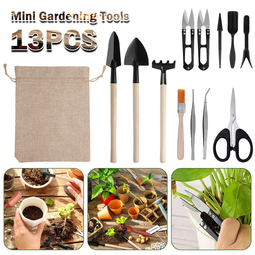 Gardening Tools Sale - مجموعة أدوات النباتات العصارية الداخلية ،