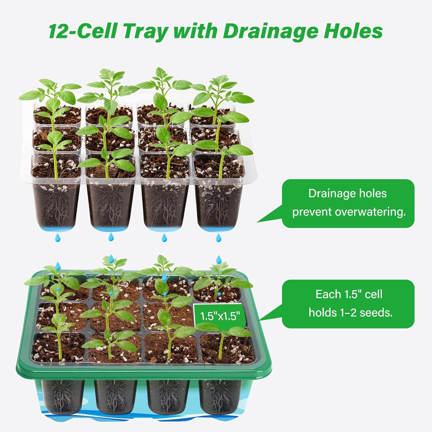 مجموعة أدوات تشغيل البذور مع ق - مراجعة Propagation Tray Dome وسعره