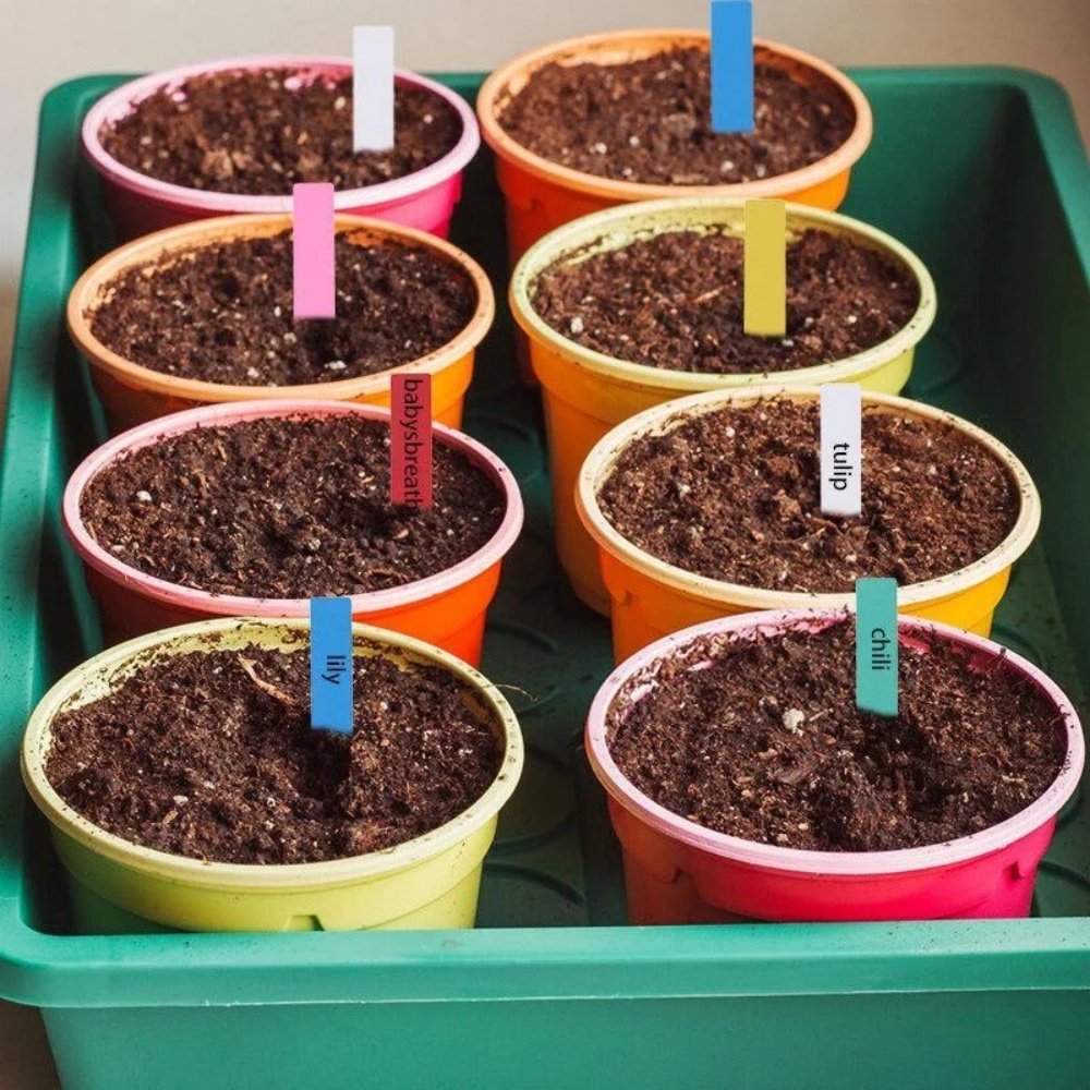 100 قطعة من بطاقات تعريف النبا - مراجعة Gardening Tools Labeled وسعره