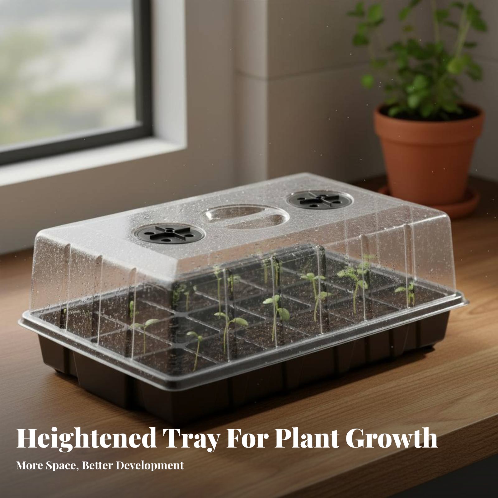 صينية استنبات بـ 24 حجرة مع غط - مراجعة Propagation Tray Dome وسعره