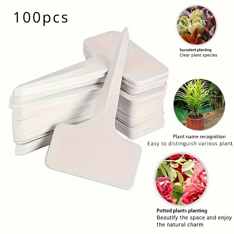 20/120 قطعة من ملصقات النباتات - مراجعة Gardening Tools Labeled وسعره