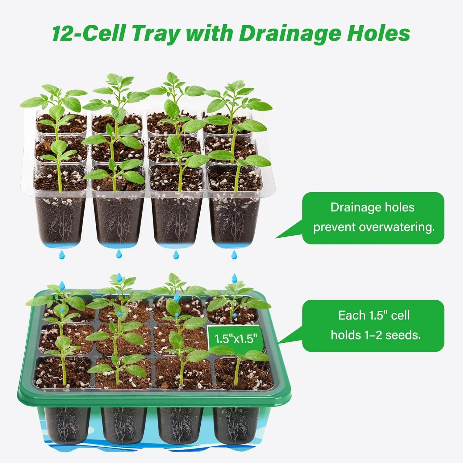 صواني زراعة بـ 6/12 خلية، طقم  - مراجعة Propagation Tray Dome وسعره