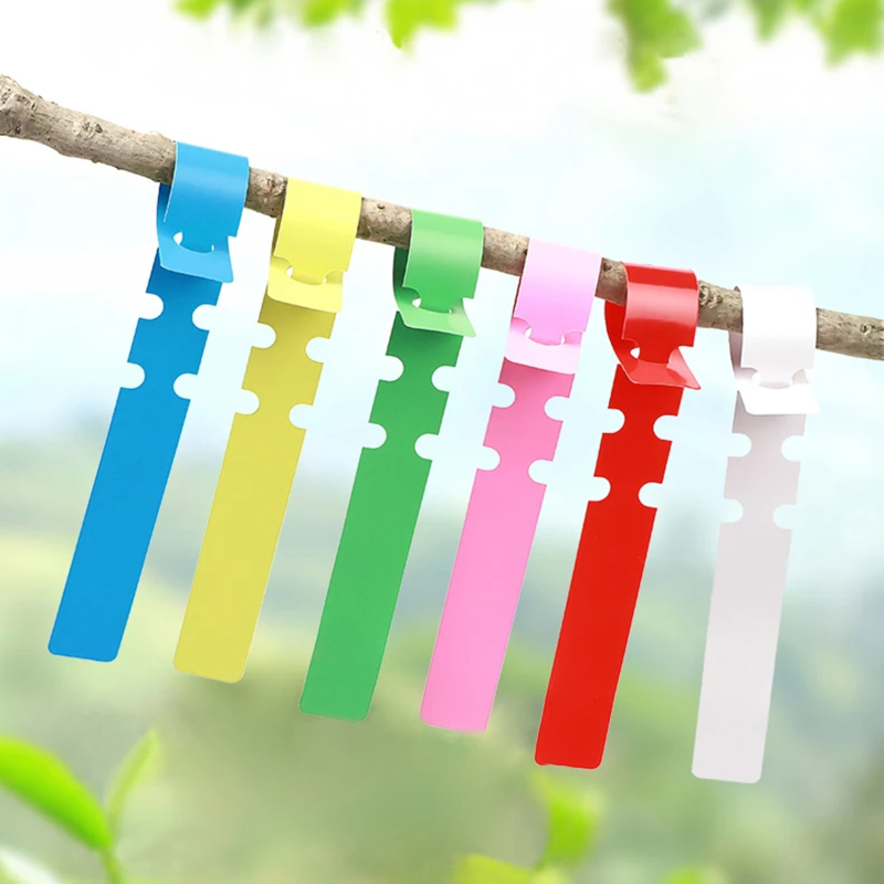 100 قطعة من علامات النباتات ال - مراجعة Gardening Tools Labeled وسعره