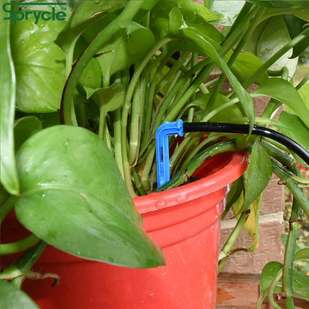 SPRYCLE 50X بيند السهم المنقط  - مراجعة Root Watering Spike وسعره