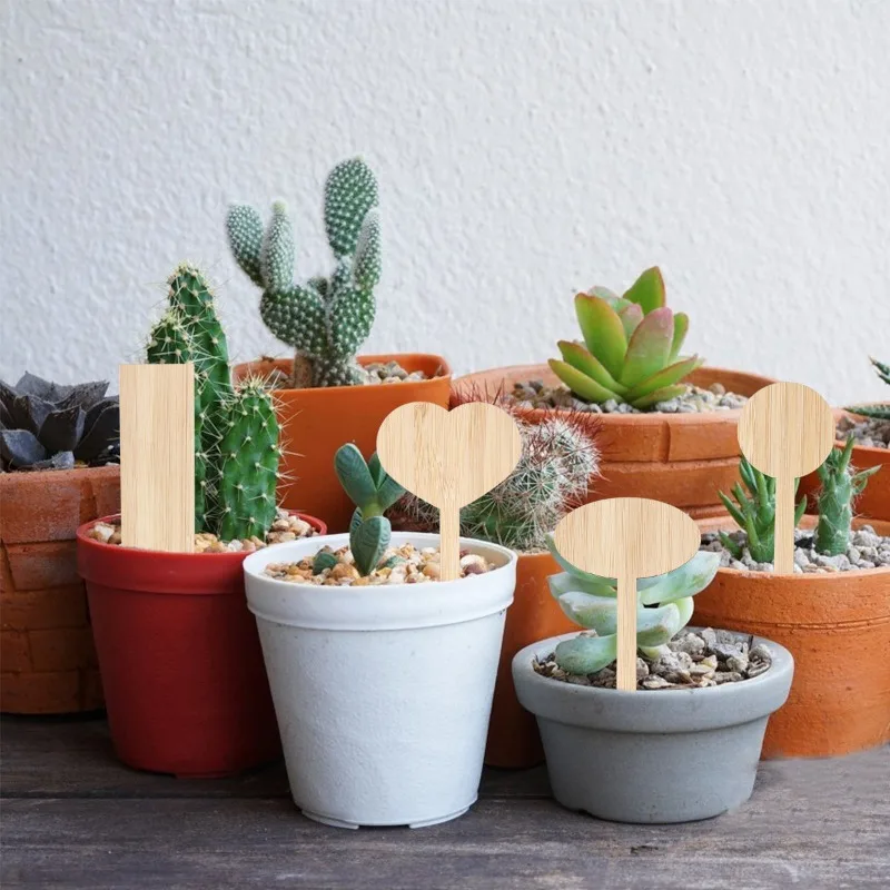 50 قطعة من ملصقات نباتات الخيز - مراجعة Gardening Tools Labeled وسعره