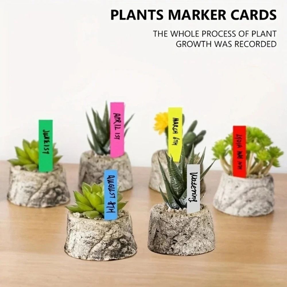 100 قطعة من بطاقات النباتات ال - مراجعة Gardening Tools Labeled وسعره