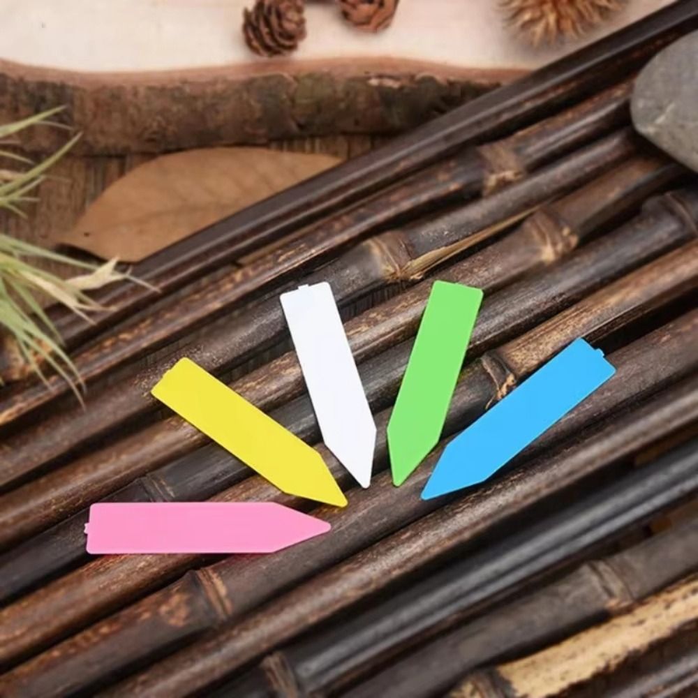 100 قطعة من بطاقات النباتات ال - مراجعة Gardening Tools Labeled وسعره