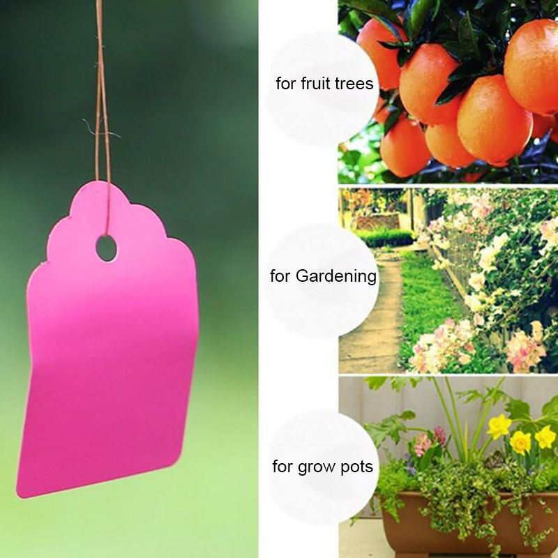 100 قطعة العلامات النباتية الب - مراجعة Gardening Tools Labeled وسعره