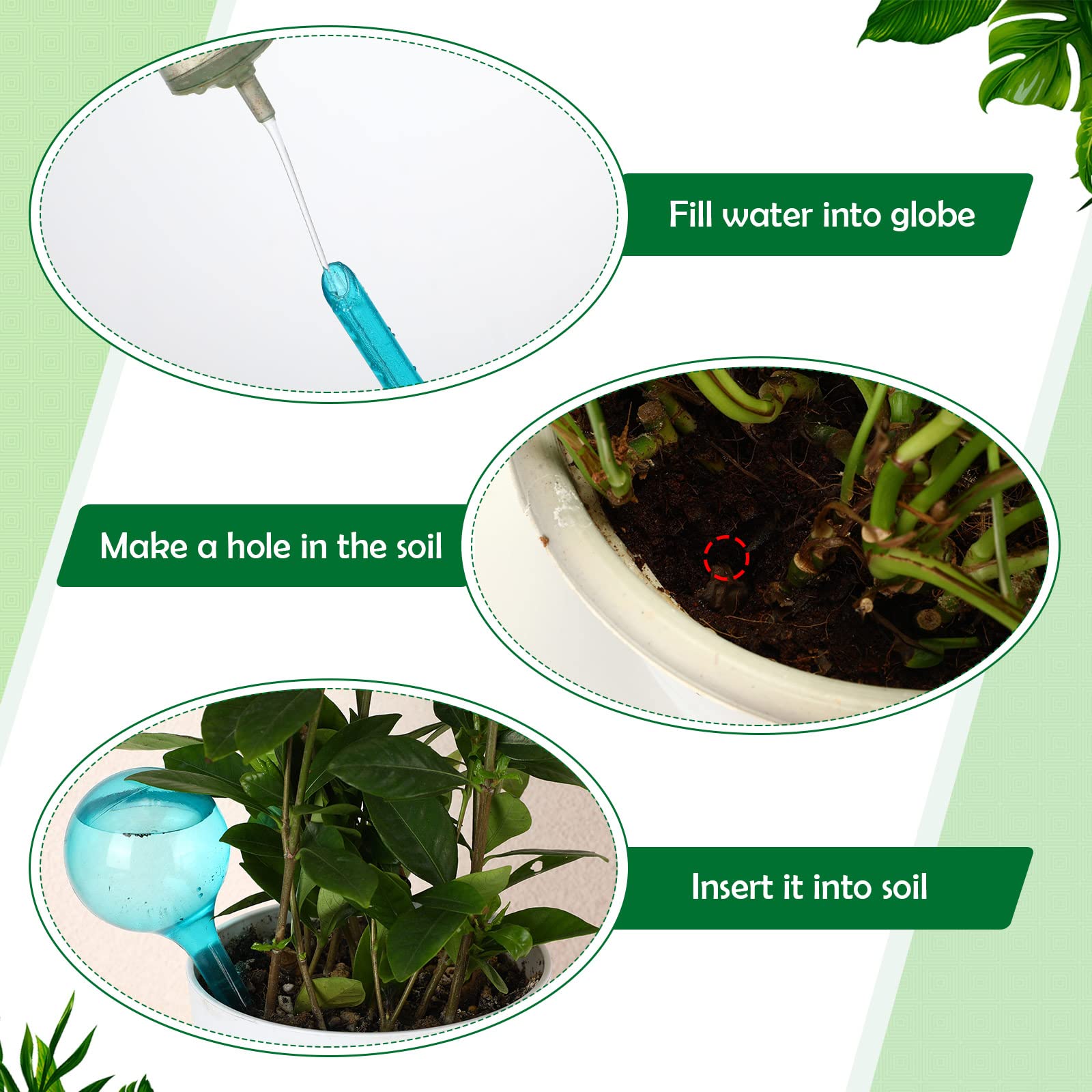 وحدة تغذية مياه النباتات كرات  - مراجعة Root Watering Spike وسعره
