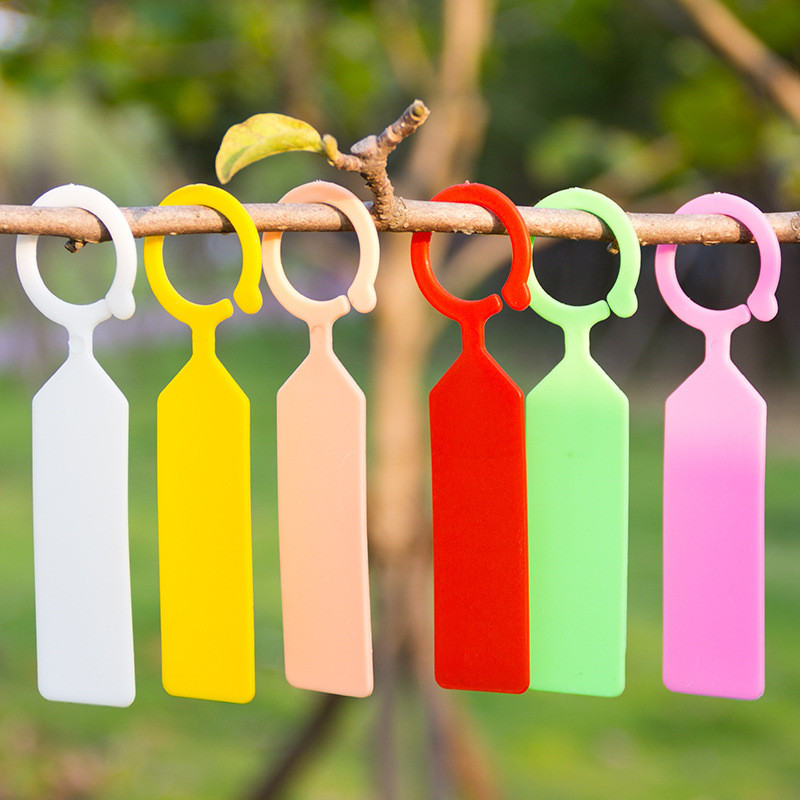 50 قطعة تسميات النباتات مقاوم  - مراجعة Gardening Tools Labeled وسعره