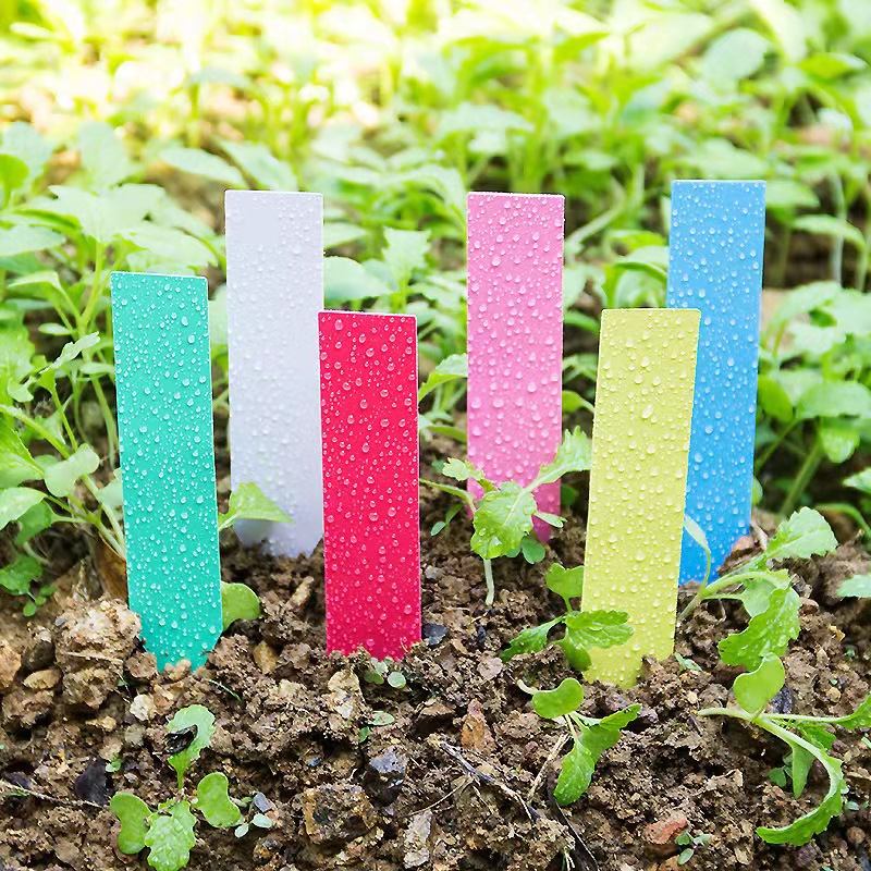 100 قطعة تسميات نباتات الحديقة - مراجعة Gardening Tools Labeled وسعره