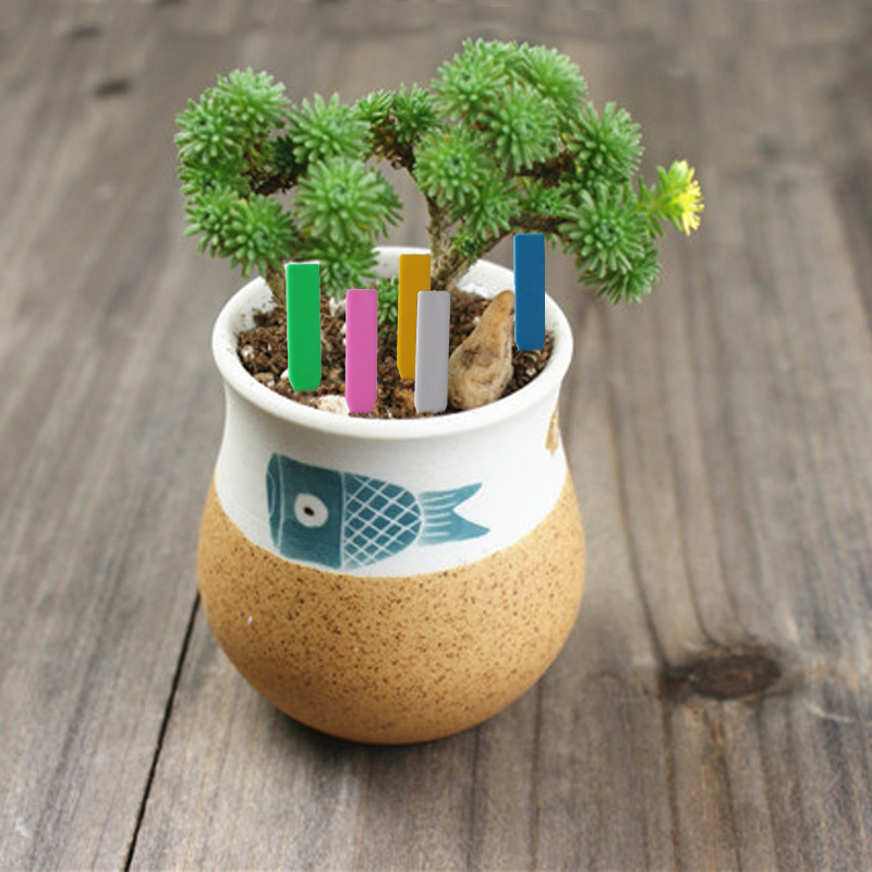 100 قطعة تسميات نباتات الحديقة - مراجعة Gardening Tools Labeled وسعره