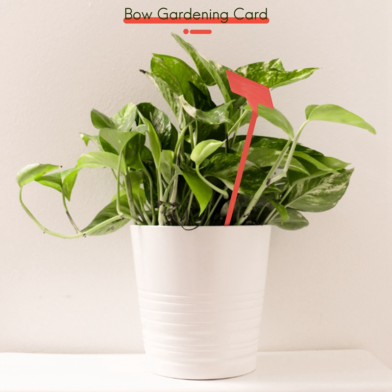 أدوات زراعة الحدائق ABYP 50 قط - مراجعة Gardening Tools Labeled وسعره
