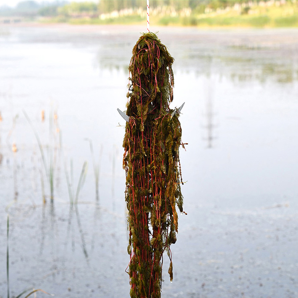 أداة إزالة الأعشاب المائية الق - مراجعة Root Watering Spike وسعره