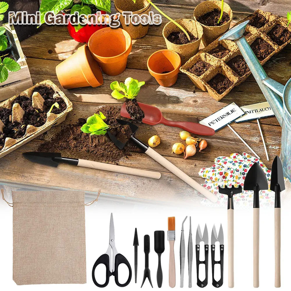 مجموعة أدوات النباتات العصارية - مراجعة Gardening Tools Sale وسعره
