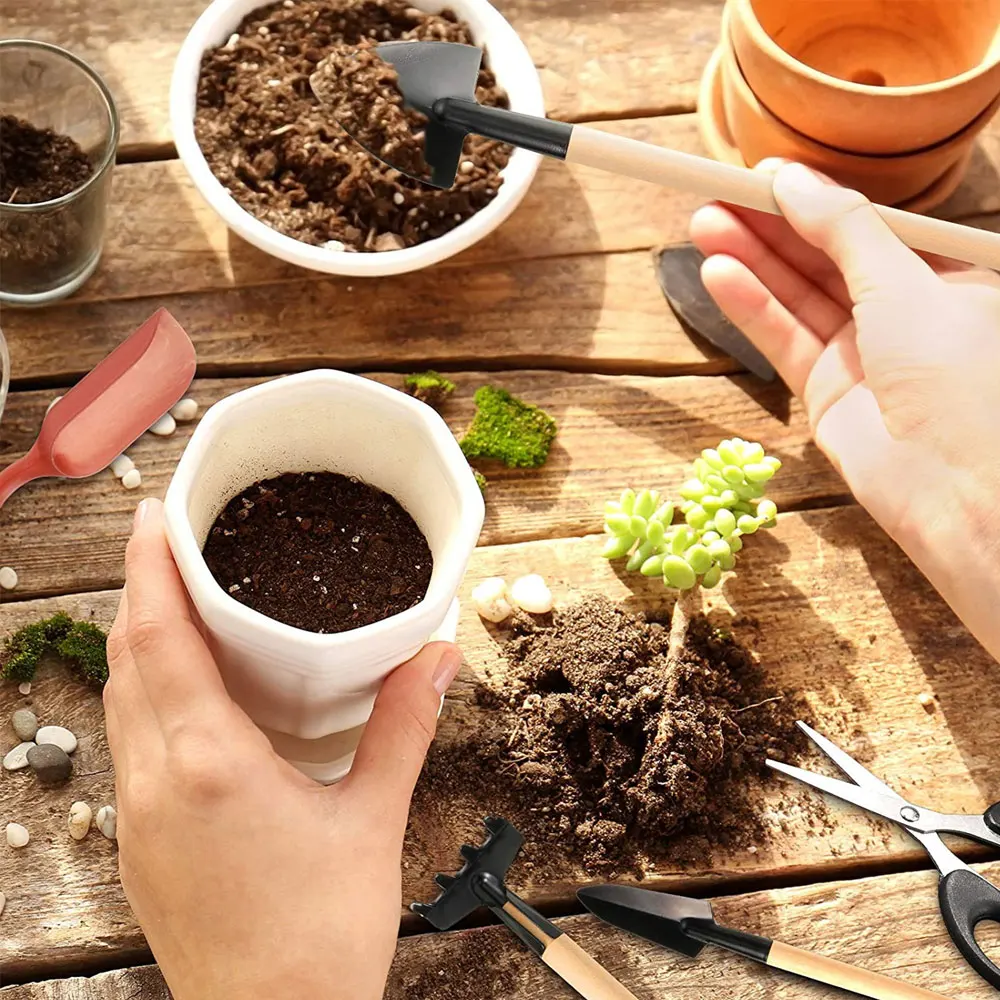 مجموعة أدوات النباتات العصارية - مراجعة Gardening Tools Sale وسعره