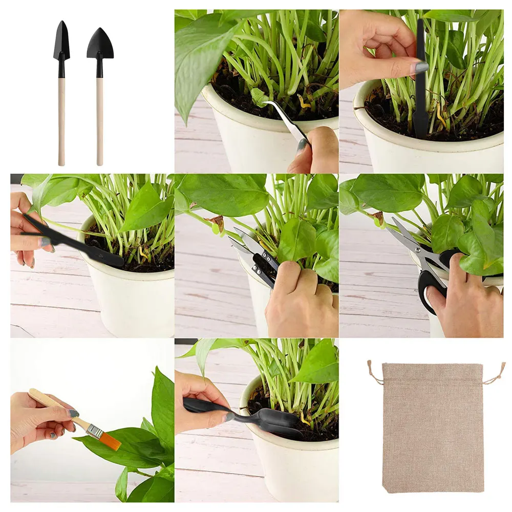 مجموعة أدوات النباتات العصارية - مراجعة Gardening Tools Sale وسعره