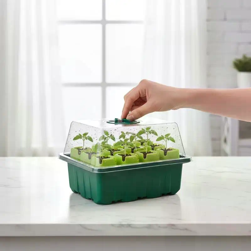 صينية بذور مع قبة رطوبة، طقم ت - مراجعة Propagation Tray Dome وسعره