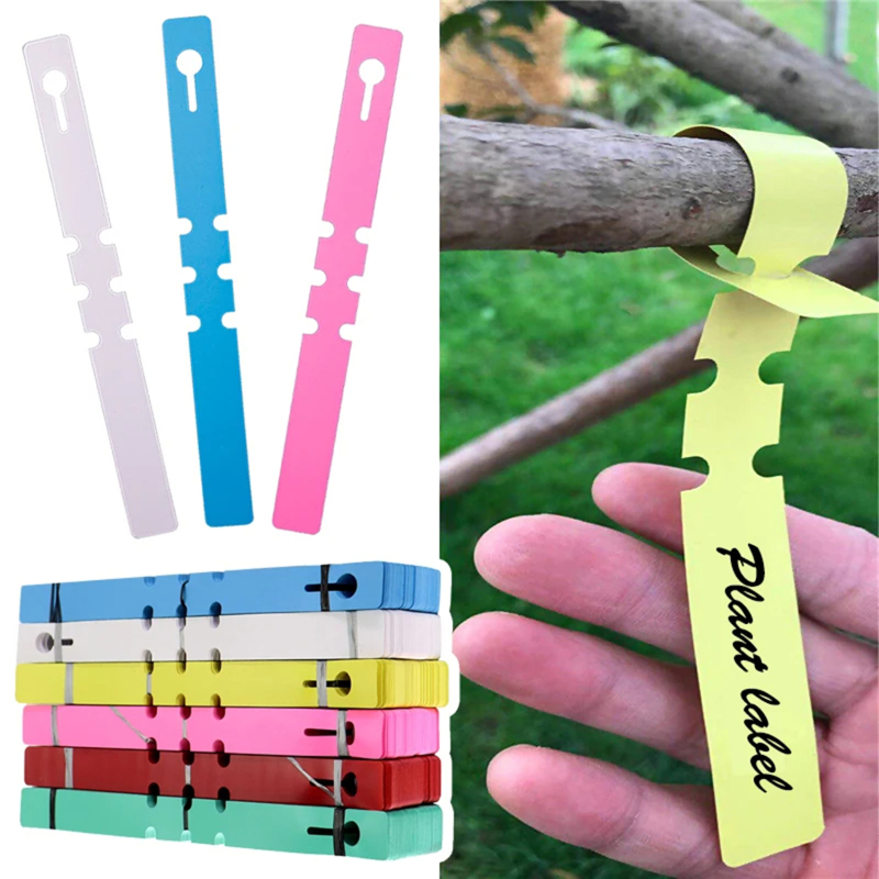 100-200 قطعة من علامات النباتا - مراجعة Gardening Tools Labeled وسعره