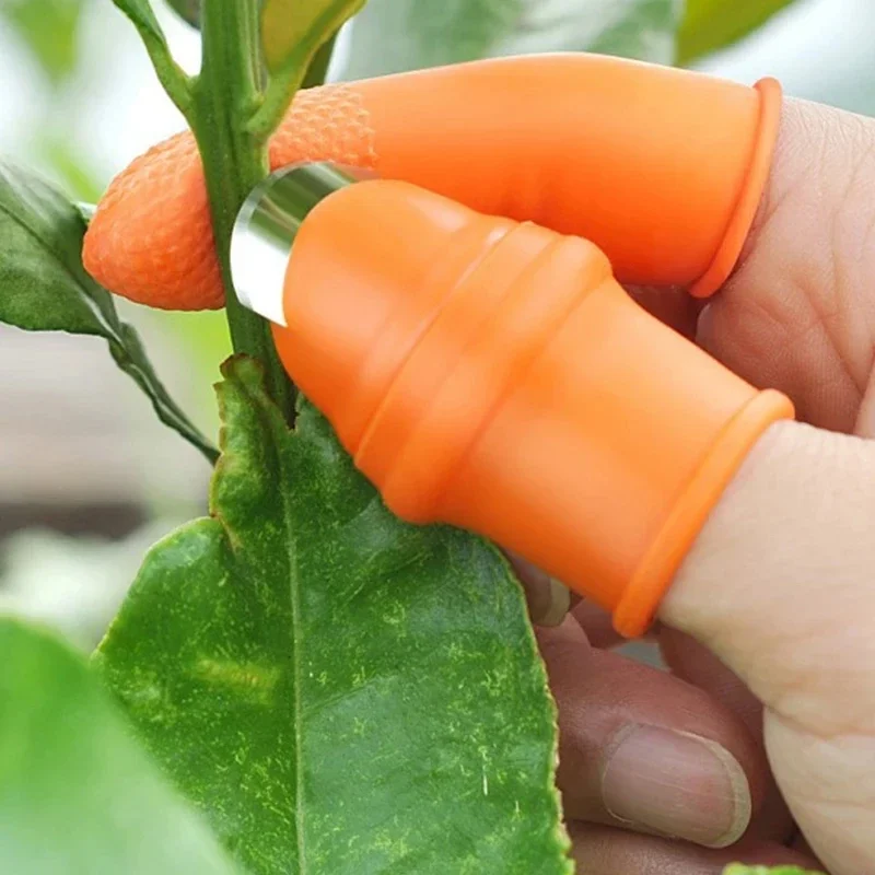 سكين الإبهام لقطف الخضروات مثل - مراجعة Gardening Tools Knife وسعره