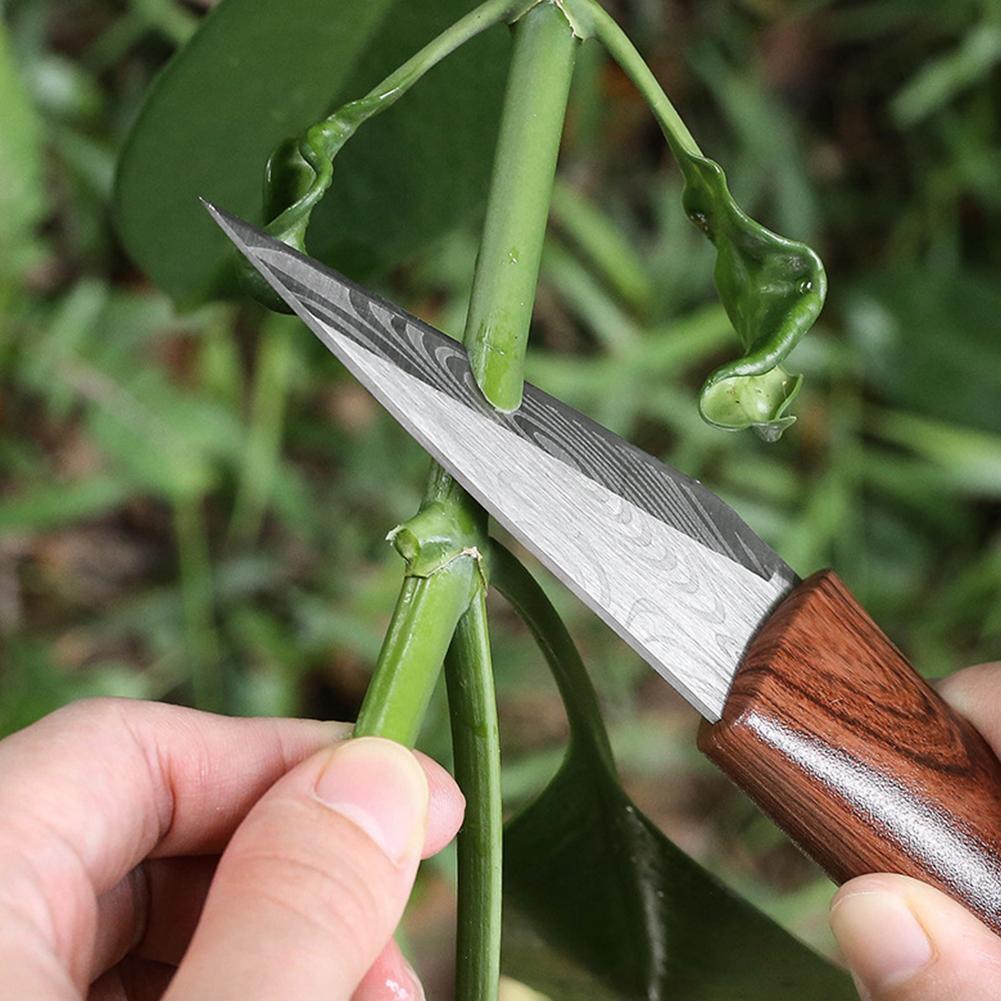 سكين تطعيم حاد بمقبض خشبي وغمد - مراجعة Gardening Tools Knife وسعره