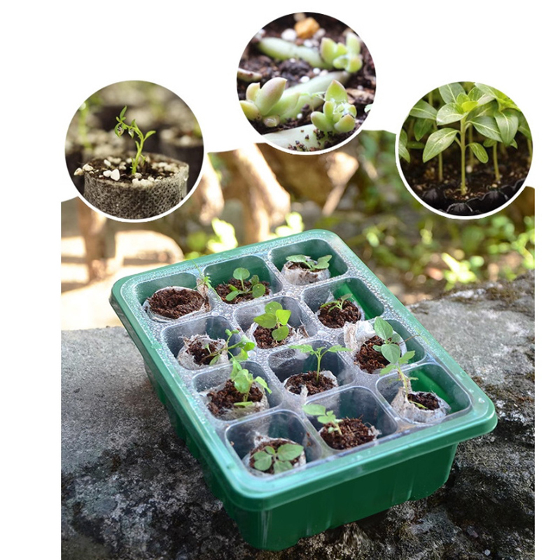 6/12 ثقوب البذور كاتب صينية مع - مراجعة Propagation Tray Dome وسعره