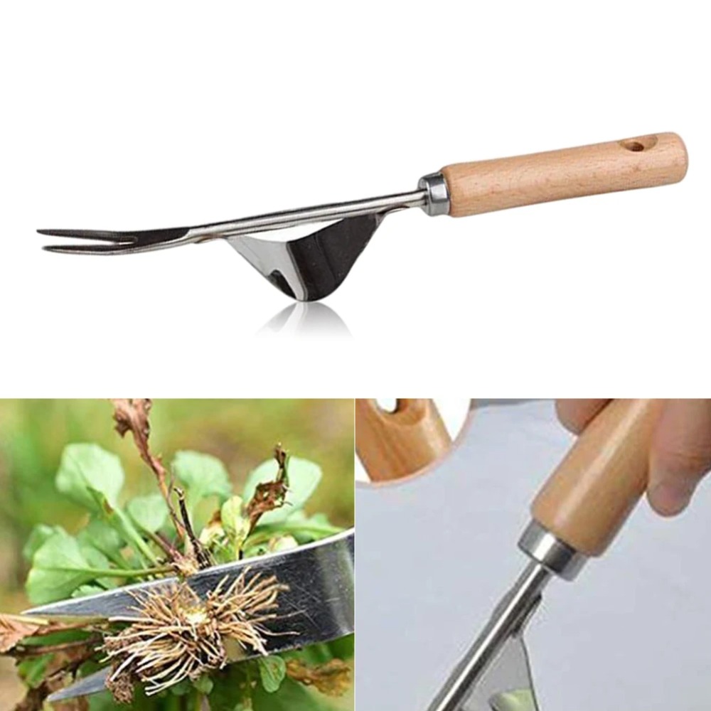 أعشاب حديقة من الفولاذ المقاوم - مراجعة Gardening Tools Sale وسعره
