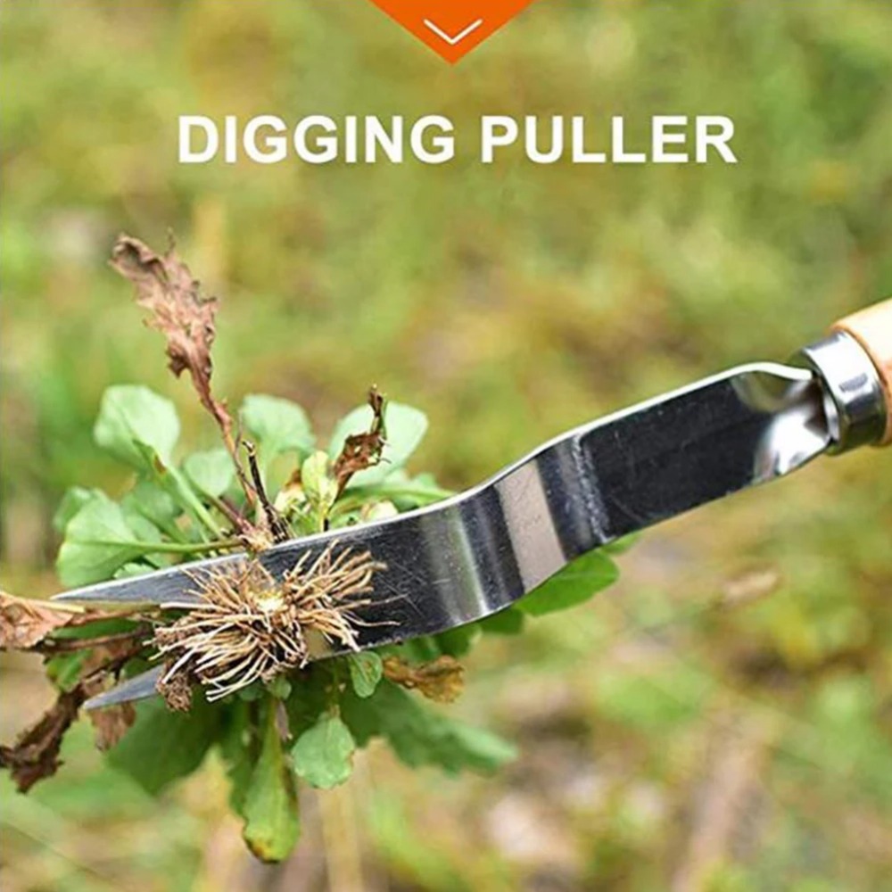 أعشاب حديقة من الفولاذ المقاوم - مراجعة Gardening Tools Sale وسعره