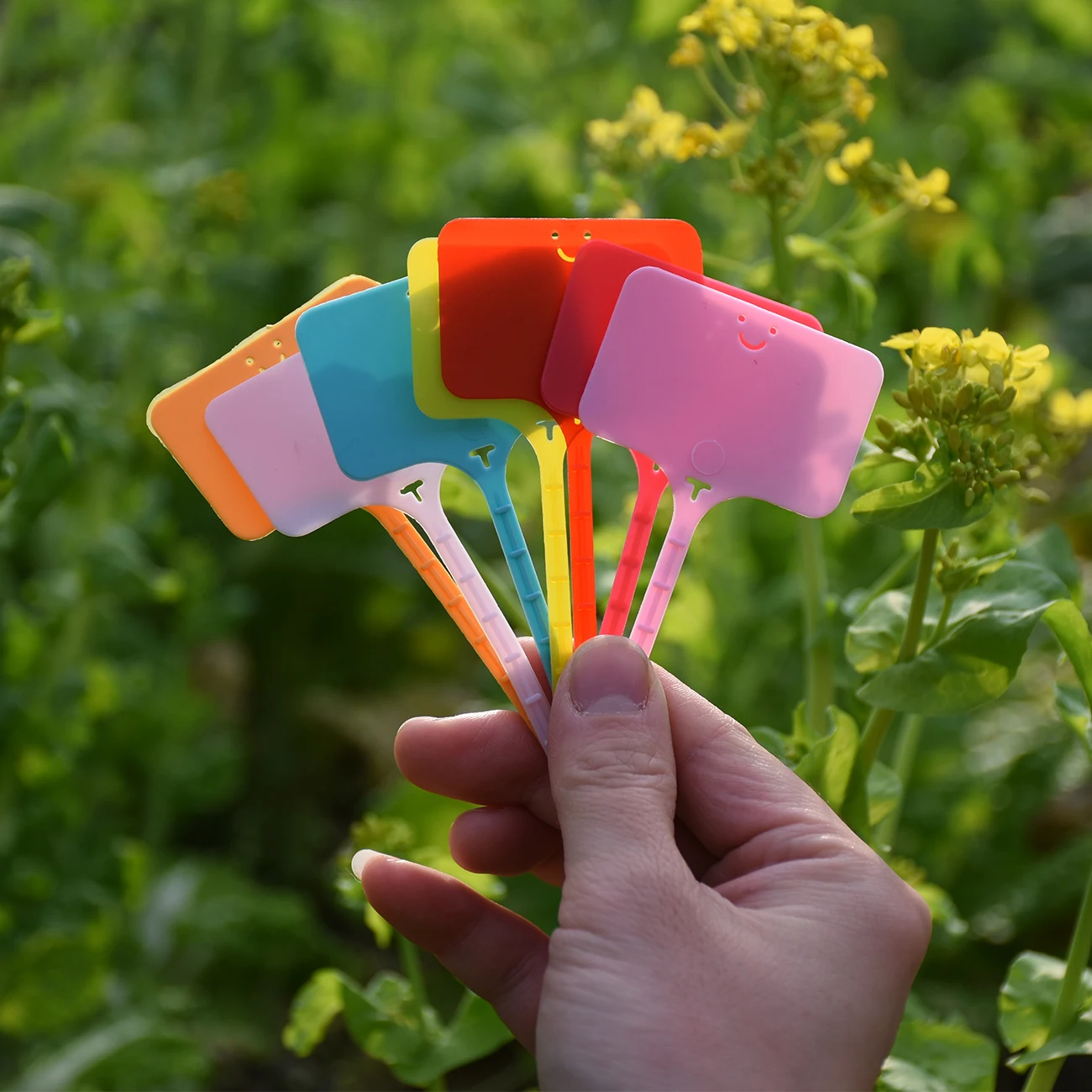 50 قطعة تسميات نباتات الحديقة  - مراجعة Gardening Tools Labeled وسعره