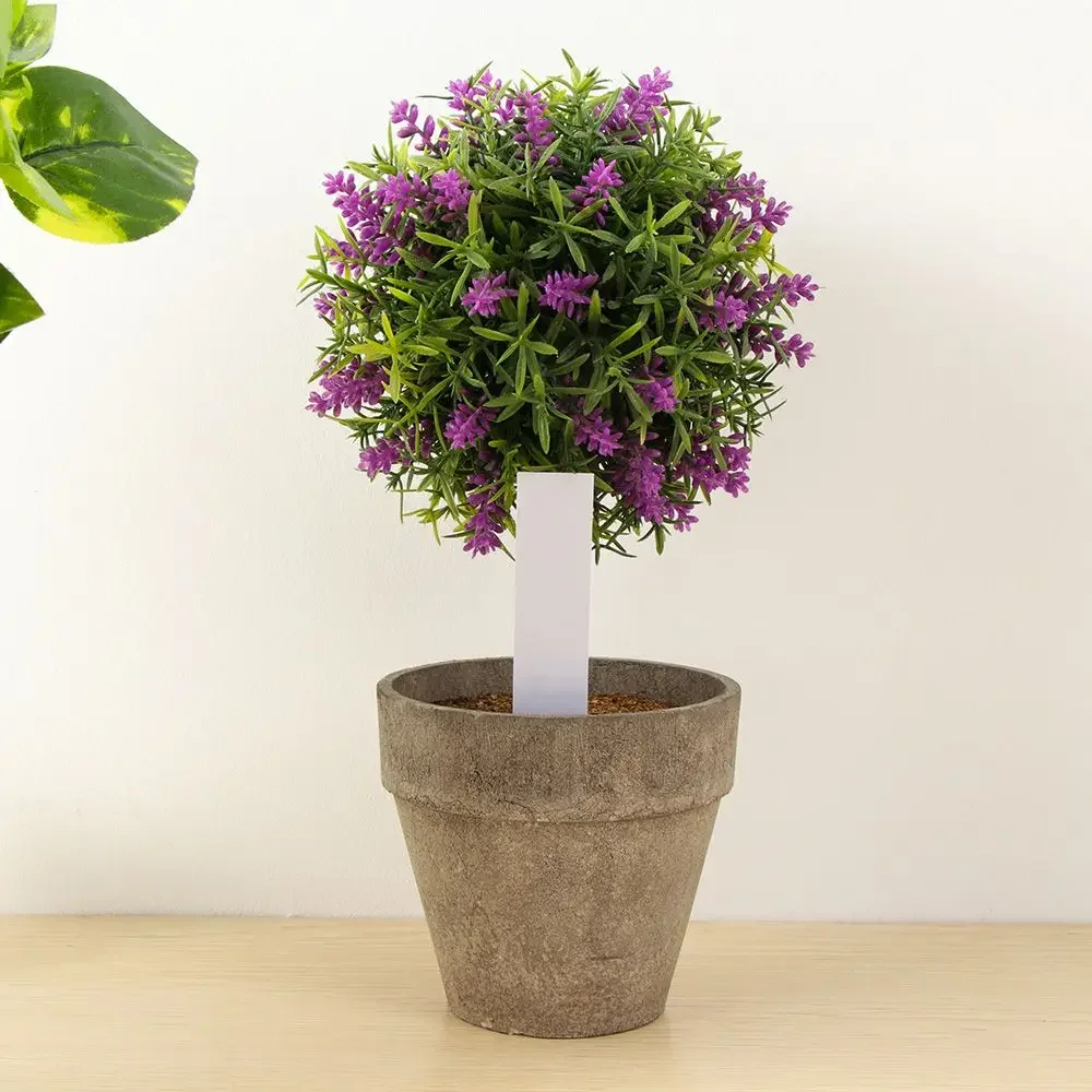 100 قطعة علامة تصنيف قابلة لإع - مراجعة Gardening Tools Labeled وسعره