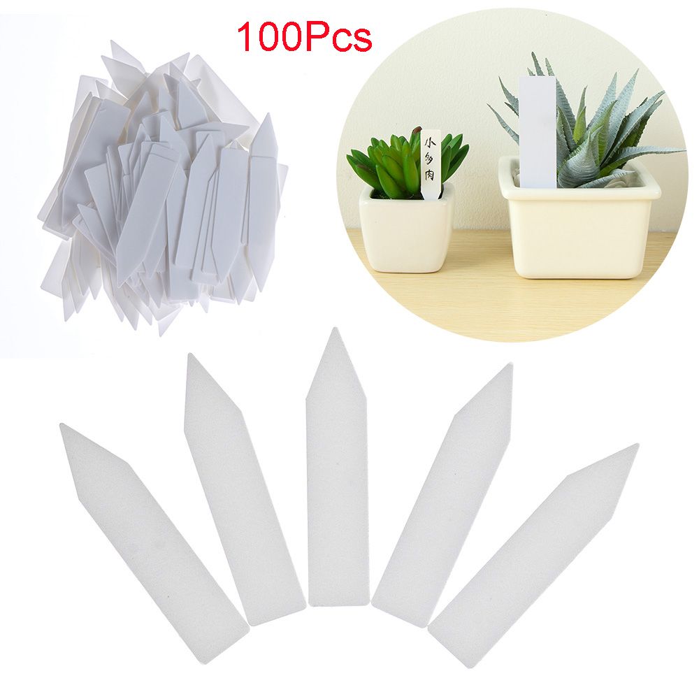 100 قطعة من علامات البذور القا - مراجعة Gardening Tools Labeled وسعره
