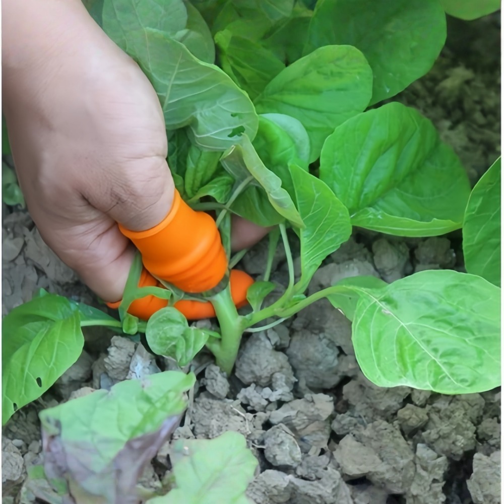 سكين إبهام من الفولاذ المقاوم  - مراجعة Gardening Tools Knife وسعره