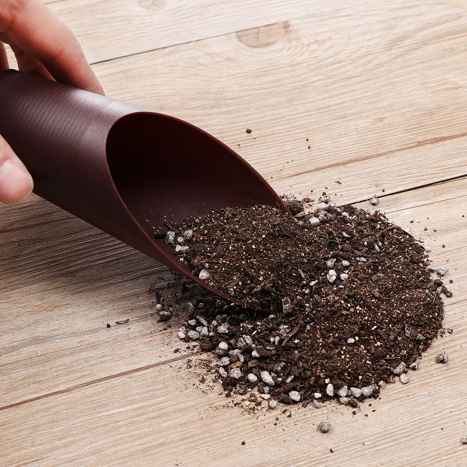 1 قطعة البلاستيك التربة مجرفة  - مراجعة Gardening Tools Sale وسعره